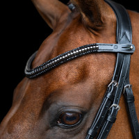 Frontal Imperial Riding Clincher Preto