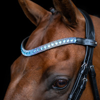 Frontal Imperial Riding Slim Azul