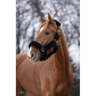 Caveira Equithème Teddy rosa dourado Caveira Equithème Teddy rosa dourado