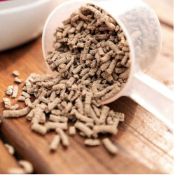 Alimento complementar Ravene Nutri'Harpago