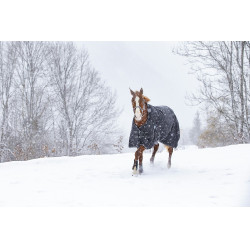 Capa Riding World Oxford impermeável forrada com lã polar Capa Riding World Oxford impermeável forrada com lã polar