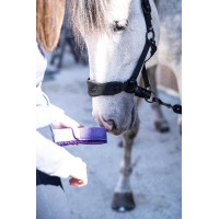 Esponja shine Lamicell Violeta