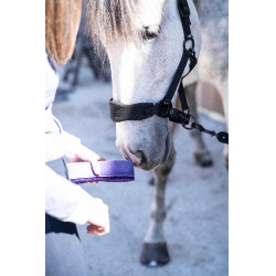 Esponja shine Lamicell Violeta