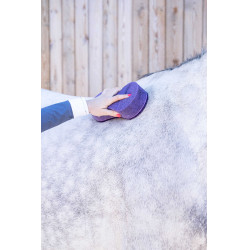 Esponja shine Lamicell Violeta