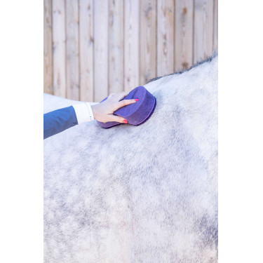 Esponja shine Lamicell Violeta