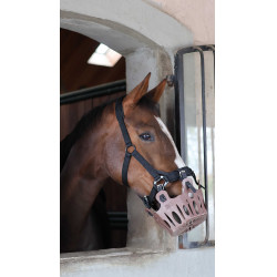 Cesto de Pasto 25 mm para Cavalos Lami-Cell | Equitação