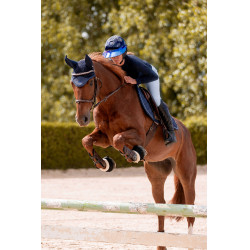 Bridão K by Equithème K-Kapture Castanho Bridão K by Equithème K-Kapture Castanho