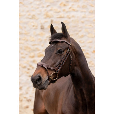 Bridão K by EQUITHÈME - K-KADENCE Bridão K by EQUITHÈME - K-KADENCE