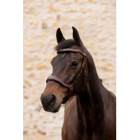 Bridão K by Equithème K-Konnect