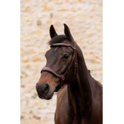 Bridão K by Equithème K-Konnect