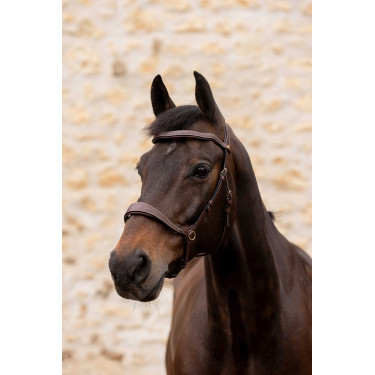 Bridão K by Equithème K-Konnect