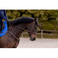 Bridão K by Equithème K-Konnect