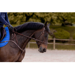 Bridão K by Equithème K-Konnect