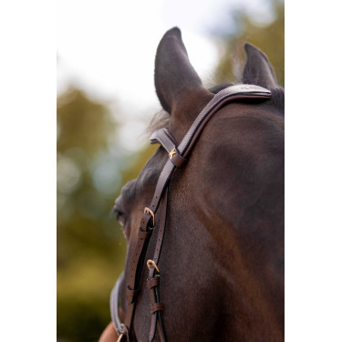 Bridão K by Equithème K-Konnect