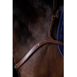 Peitoral 3 pontos K by Equithème K-Kontour