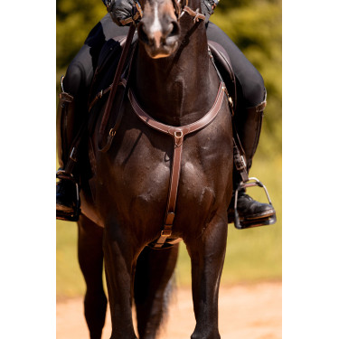 Peitoral 3 pontos K by Equithème K-Kontour