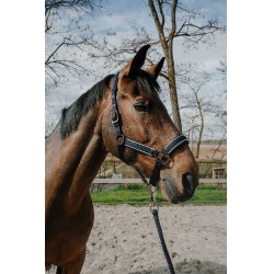 Cabeçada com shank Equithème Coco