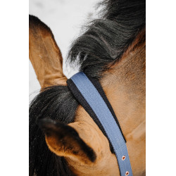 Cabeçada com shank Equithème Coco