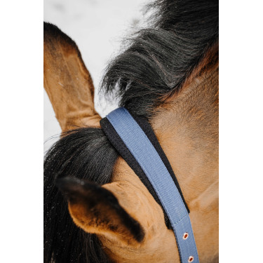 Cabeçada com shank Equithème Coco