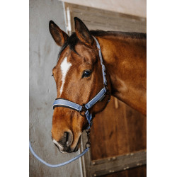 Cabeçada com shank Equithème Coco