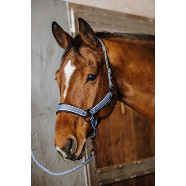 Cabeçada com shank Equithème Coco