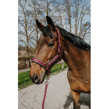 Cabeçada com shank Equithème Coco