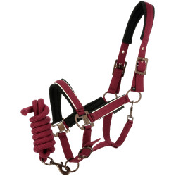 Cabeçada com shank Equithème Coco