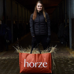 Grande bolsa de compras Horze Laranja