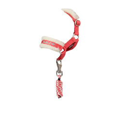Cabresto e corda p/ Toy Pony LeMieux Coral Crush | Equitação Cabresto e corda p/ Toy Pony LeMieux Coral Crush | Equitação