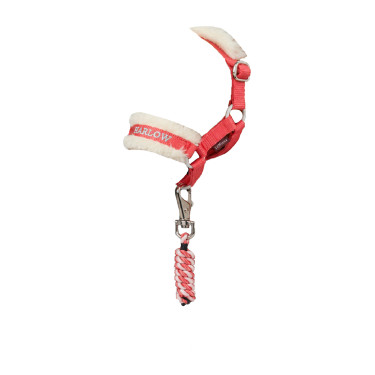 Cabresto e corda p/ Toy Pony LeMieux Coral Crush | Equitação Cabresto e corda p/ Toy Pony LeMieux Coral Crush | Equitação