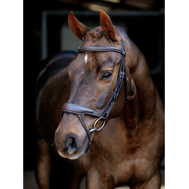 Bridão com noseband fendido Arika LeMieux