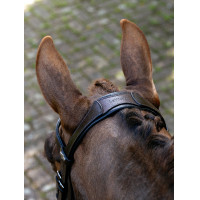 Bridão com noseband fendido Arika LeMieux