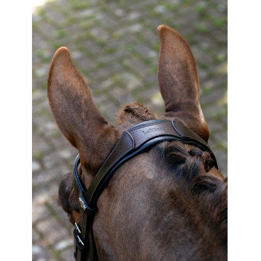 Bridão com noseband fendido Arika LeMieux