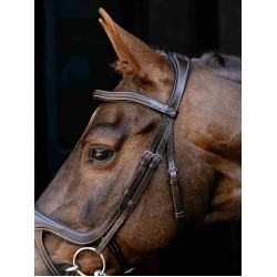 Bridão com noseband fendido Arika LeMieux
