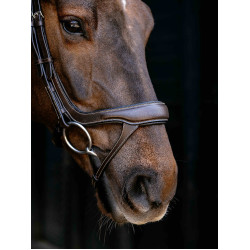 Bridão com noseband fendido Arika LeMieux