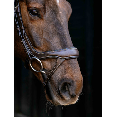 Bridão com noseband fendido Arika LeMieux