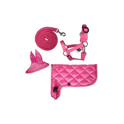 Conjunto néon HKM Hobby Horse Rosa