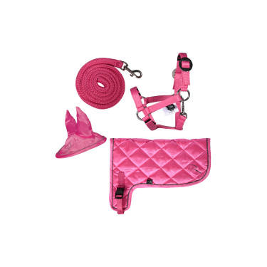 Conjunto néon HKM Hobby Horse Rosa