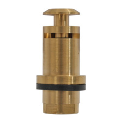 Válvula Umbria Equitazione para VA00063A 22202 Dourado Ouro