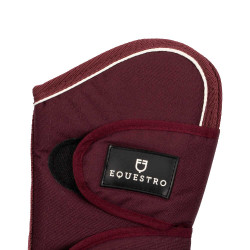 Conjunto de transportadores e protetor de cauda Equestro com remendo de borracha Bordéus Bordô Conjunto de transportadores e protetor de cauda Equestro com remendo de borracha Bordéus Bordô