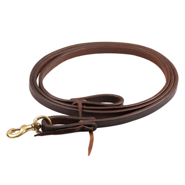 Rédeas western Pool's 5/8" Envernizado Castanho