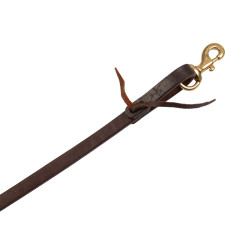 Rédeas western Pool's 5/8" Envernizado Castanho