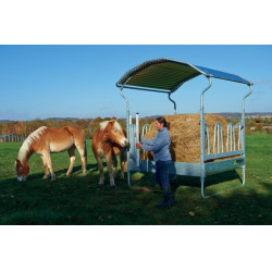 Ripe metálico RTF La Gée