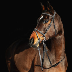 Filete Constance Horze Preto