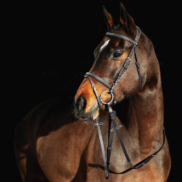 Filete Constance Horze Preto