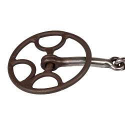Bridão de equitação Pool’s Gonzales argolas lifter
