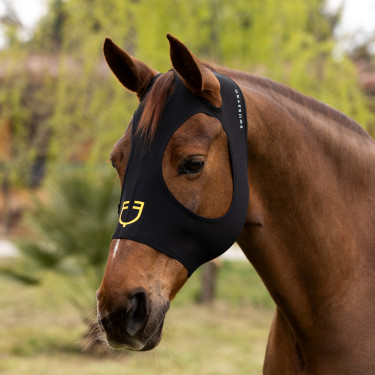 Máscara anti-moscas Equestro em elastano sem orelhas, rede para os olhos Preto