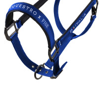 Caveções Equestro x FISE forrados e ajustáveis Azul da Savoia