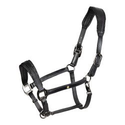 Caveção de couro Equestro anatómico Diamond Preto Caveção de couro Equestro anatómico Diamond Preto