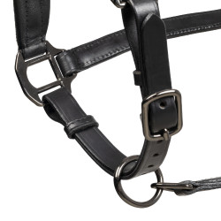 Caveção de couro Equestro anatómico Diamond Preto Caveção de couro Equestro anatómico Diamond Preto